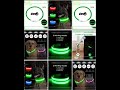LED Glowing Pet Collar