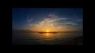 tony Q rastafara - mental kere