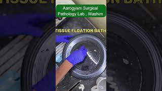 Microtomy Techniques: Ultimate guide to flawless histology slides#histopathology #microtomy