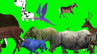 3D animal stampede green screen video! Cenozoic beasts stampede green screen #cartoon #stampede #cow