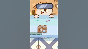 HIDE & SEEK CAT 😼 V DOG 🐶#gaming