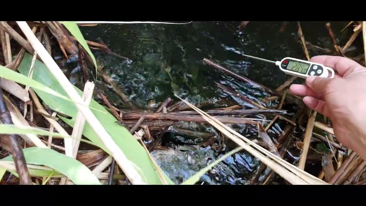 Устюрт Барсакелмес шорындагы Гуркиреук булагынын тауылыуы! #гидрогеология #факты #море