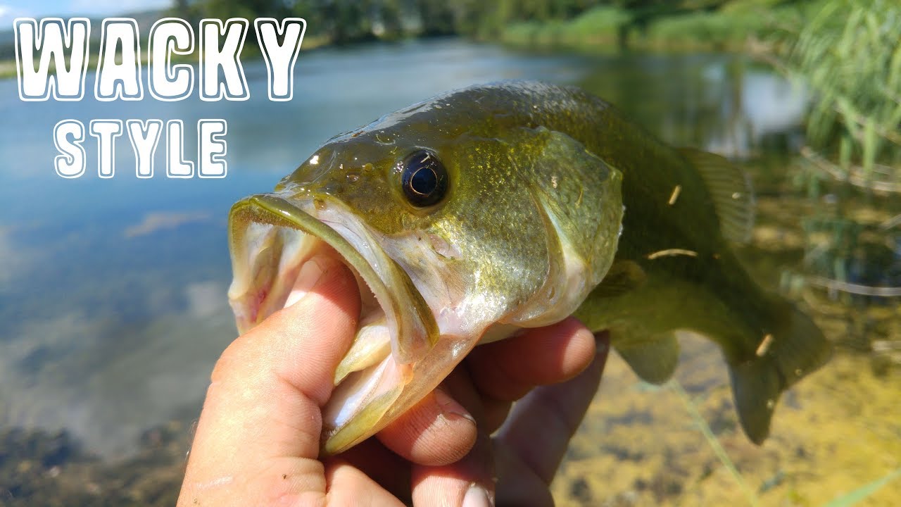 Le Wacky? Une technique facile et qui marche!