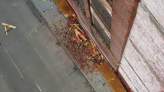 Debris falling from deteriorating Detroit building closes road on city’s east side