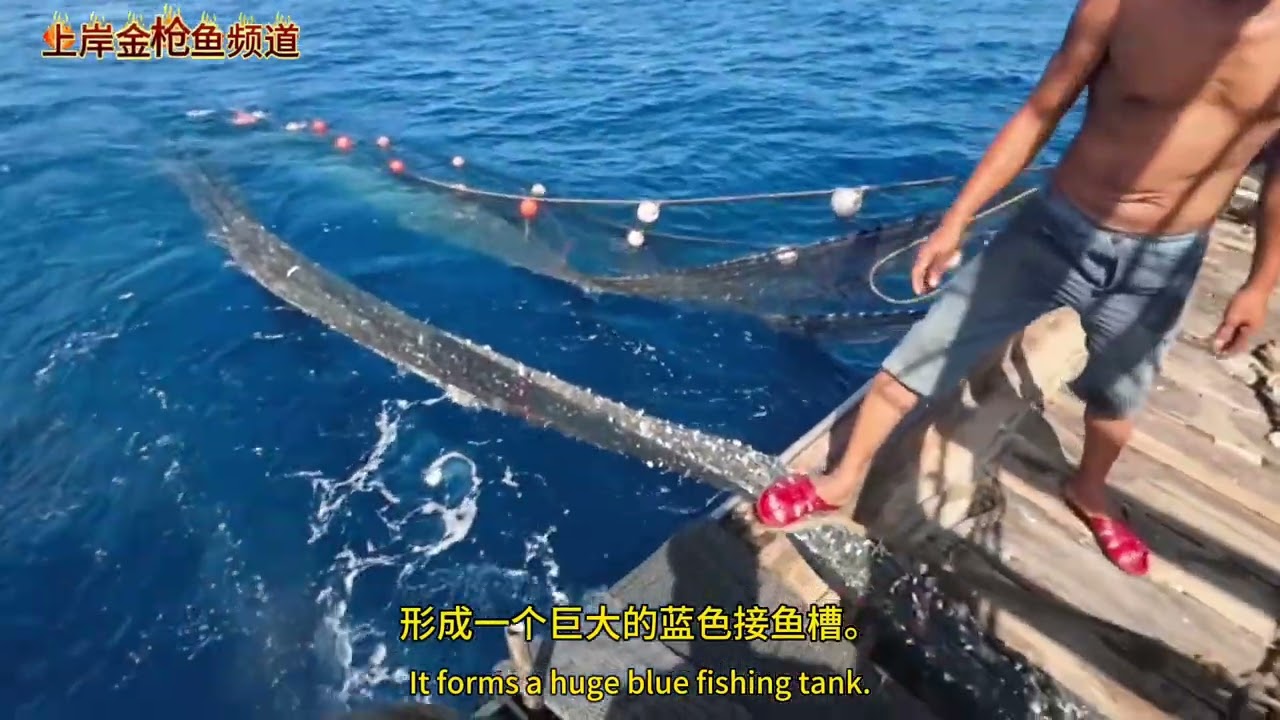 渔船渔民捕鱼日常：一艘650马力单拖网渔船，在深夜的海面上起一网鱼货，渔船捕到了一网篮子鱼。|柠檬鱼|臭肚鱼|泥猛鱼|