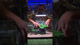 Ultra clear Aquarium Setup 🔥🔥#viral #ytshorts #trendingsongs #Aquarium #fishtank#fish#trending