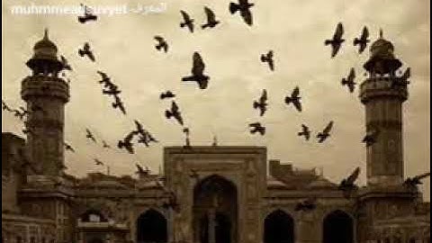 الشيخ حسن صالح سورة القيامه