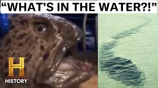 The Proof Is Out There: 4 TERRIFYING Nightmares Lurking in the Water