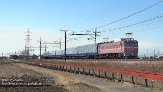 宇都宮線 黒磯訓練 試9501 EF8181 東鷲宮～栗橋