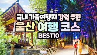 8월 국내 가족여행 가볼만한곳, 울산 당일치기 여행 코스 BEST10✨울산 태화강 백리대숲