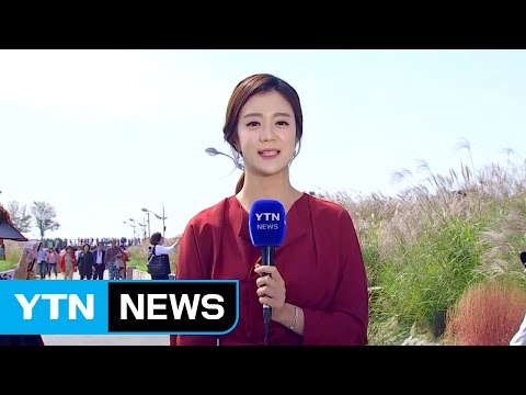 [날씨] 휴일 파란 하늘, 선선...동해안·해상 강풍 / YTN