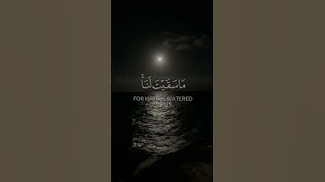 ياسر الدوسري | قالت إحداهما يا أبي استأجره | سورة القصص
