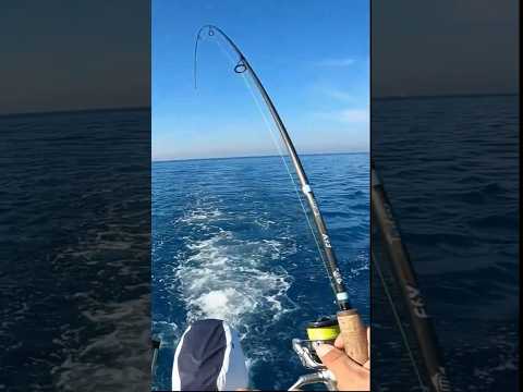 TRAINA COSTIERA CON SABIKI.. #fishing #fishing_video #pesca #pescaesportiva