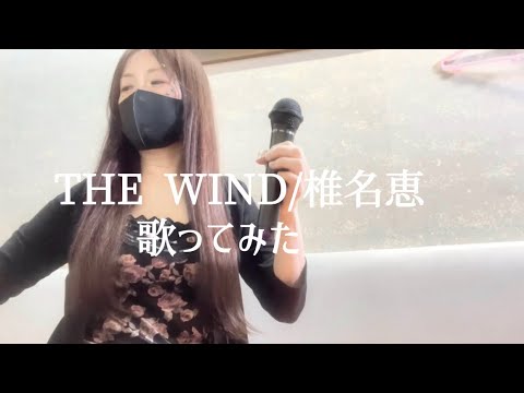 THE WIND / 椎名恵（cover）歌ってみた