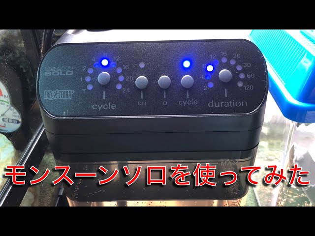 爬虫類自動ミスティングシステム、モンスーンソロをセットしてみました
