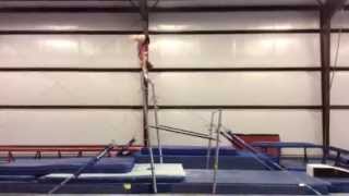 Nichelle Christopherson Ray E Skill UNATTACHED 2014