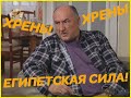 Воронины "Хрень" и "