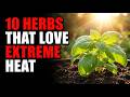 10 Heat-Loving Herbs to Plant RIGHT NOW