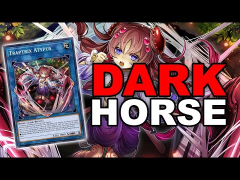 Nobody Expected This... Traptrix Is Dominating!?! (yu-gi-oh! Duel Links)