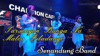 Lagu Batak-Tarsongon Bunga Na Malos Di Ladang I | Cover Senandung Sister Dan Band #Champion
