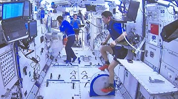 Working, watching TV and exercising: A day in the life of a taikonaut