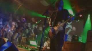 Bestival 2004 The Bees 'Chicken Payback'