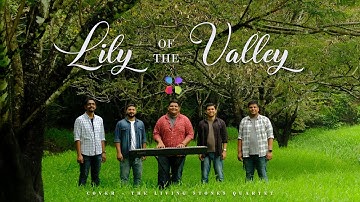 Thumbnail of LILY OF THE VALLEY | THE LIVING STONES QUARTET #thelsq