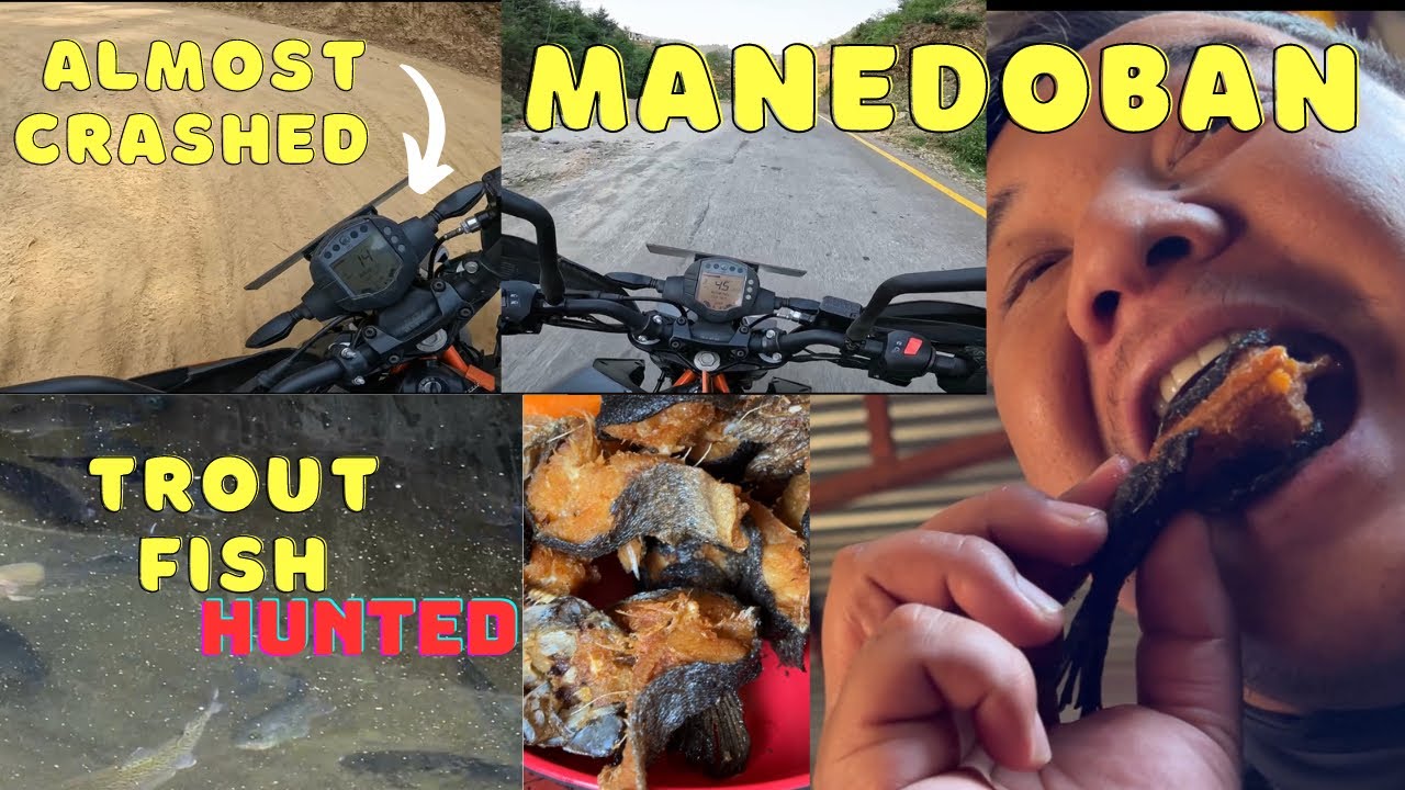 Rainbow Trout Meaning In Nepali Rainbow Trout Meaning In Nepali