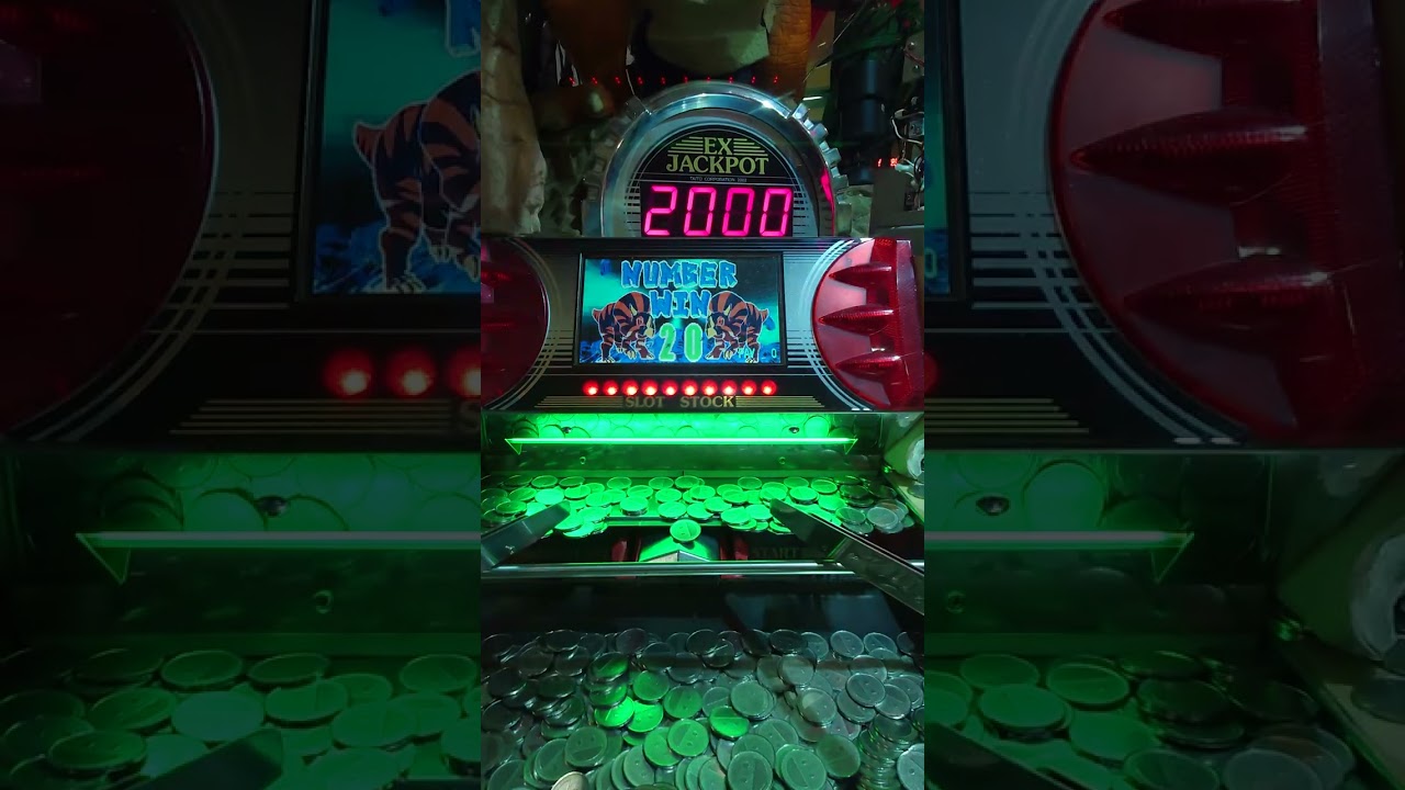 ダイノキング2プレイ-14