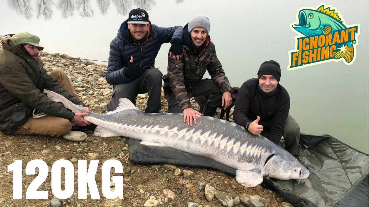 Lo chiamavano Titanic