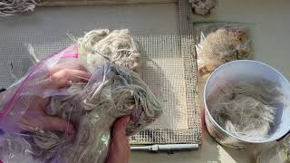 Step 1 - How I sort and clean my suri alpaca fiber.