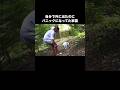 自分で外に出てパニックになって怒ってやっと捕まえた日 #猫 #脱走猫 #家猫 #shorts
