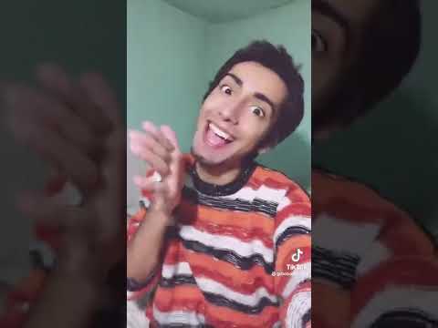 Gibo baby musically