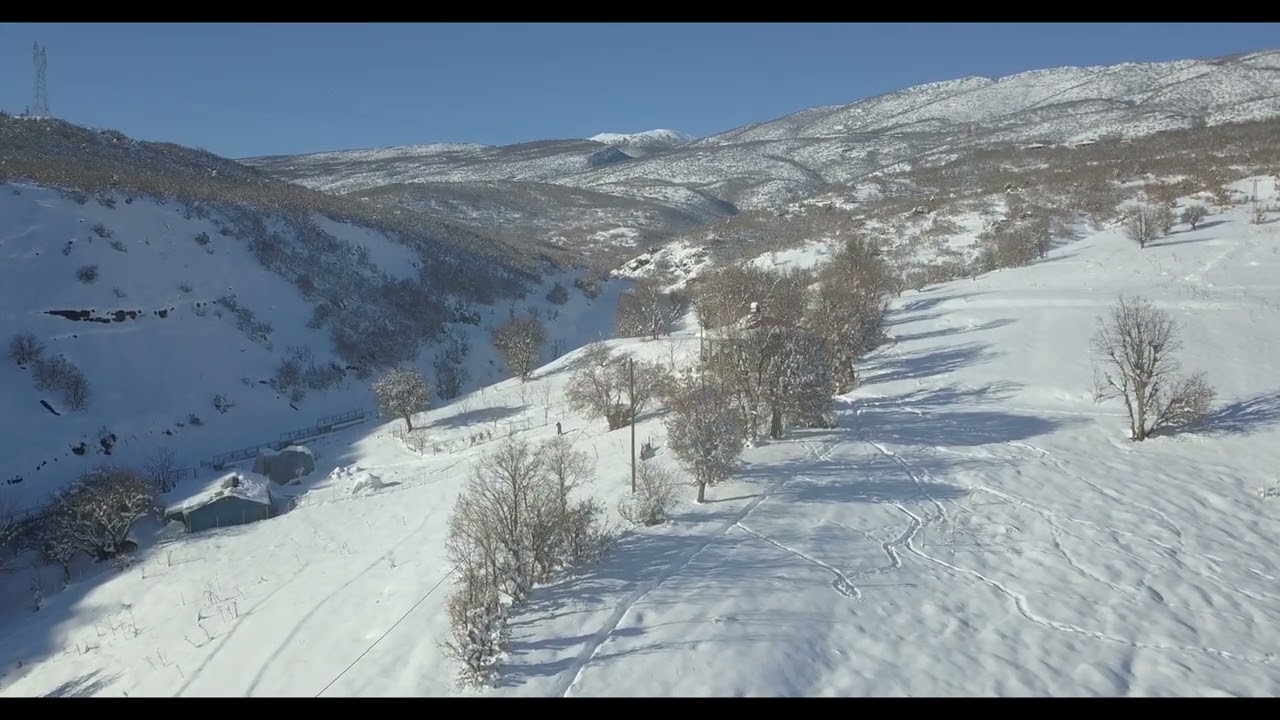 Dersim Mamekiye 2026 Zimostono