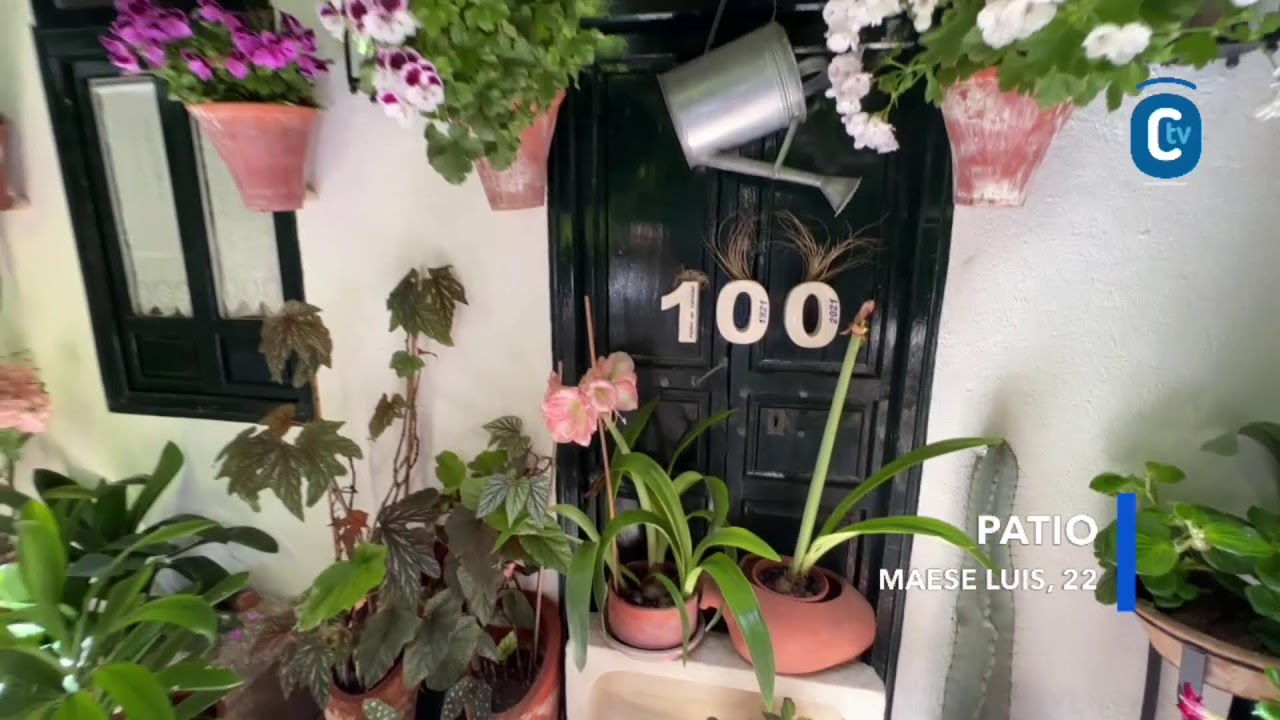 PATIOS / MAESE LUIS,  22