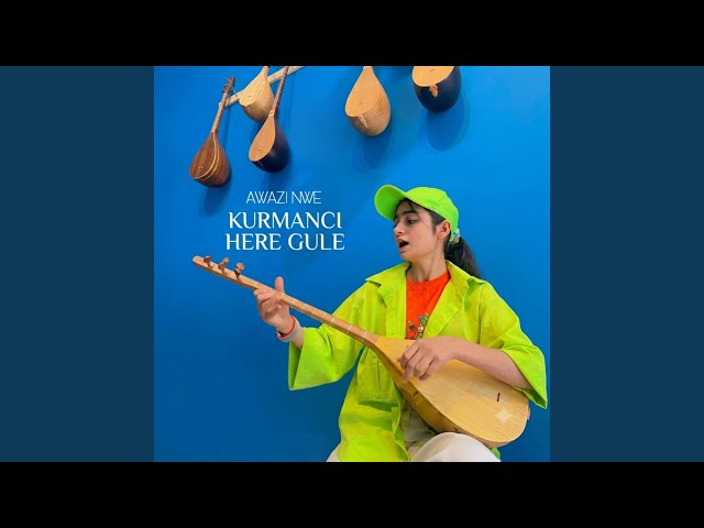 Kurmanci Here Gule