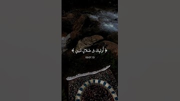 قران كريم بدون حقوق جاهز للنشر ❤️‍🩹 #قران_كريم #ماهر_المعيقلي #اكسبلور_فولو