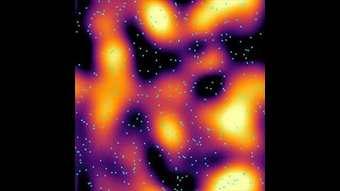 Introducing Jaxion: Differentiable Astrophysics for Fuzzy Dark Matter