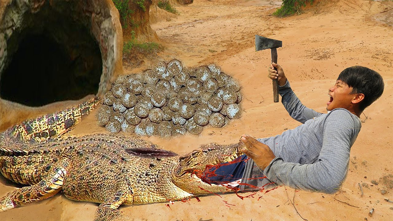 Underground Crocodile Trap Creative Boy Make Best Crocodile Trap Technology - Big Crocodile Trap