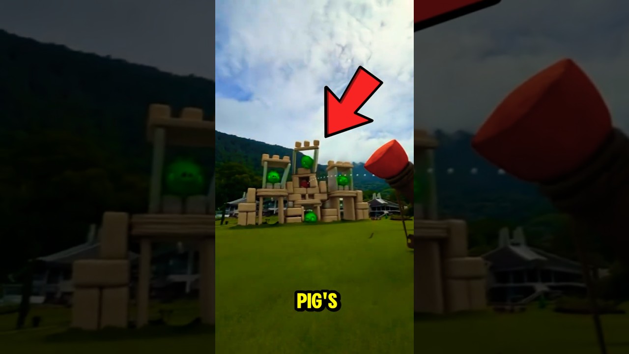 Real Life ANGRY BIRDS! 😱🐦