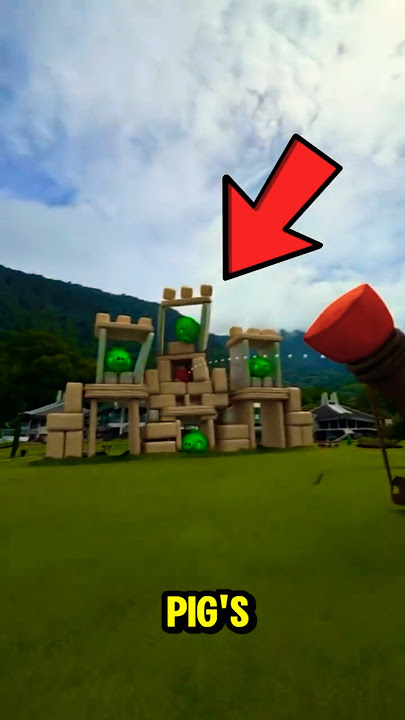 Real Life ANGRY BIRDS! 😱🐦