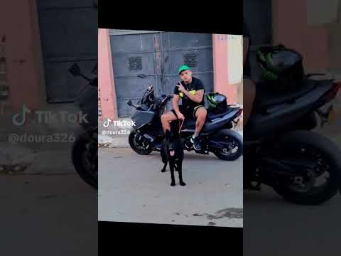 عصابة تنشر الرعب باحياء وهران وهران عصابة الشرطة الجزائرية 