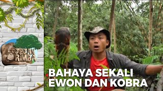 WOW BAHAYA! Ewon Hampir Dicatok Ular | JEJAK RIMBA EPS 6