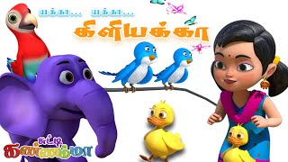 Yekka Yekka Kiliyakka Tamil Kids Song | யக்கா யக்கா கிளியக்கா Chutty Kannamma Tamil Rhymes