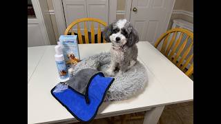 This kit helps us get Coco clean paws quick and easy screenshot 2