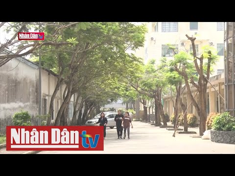Video Đà Nẵng: Nhiều phương án để kết thúc năm học 2020 -... - YouTube