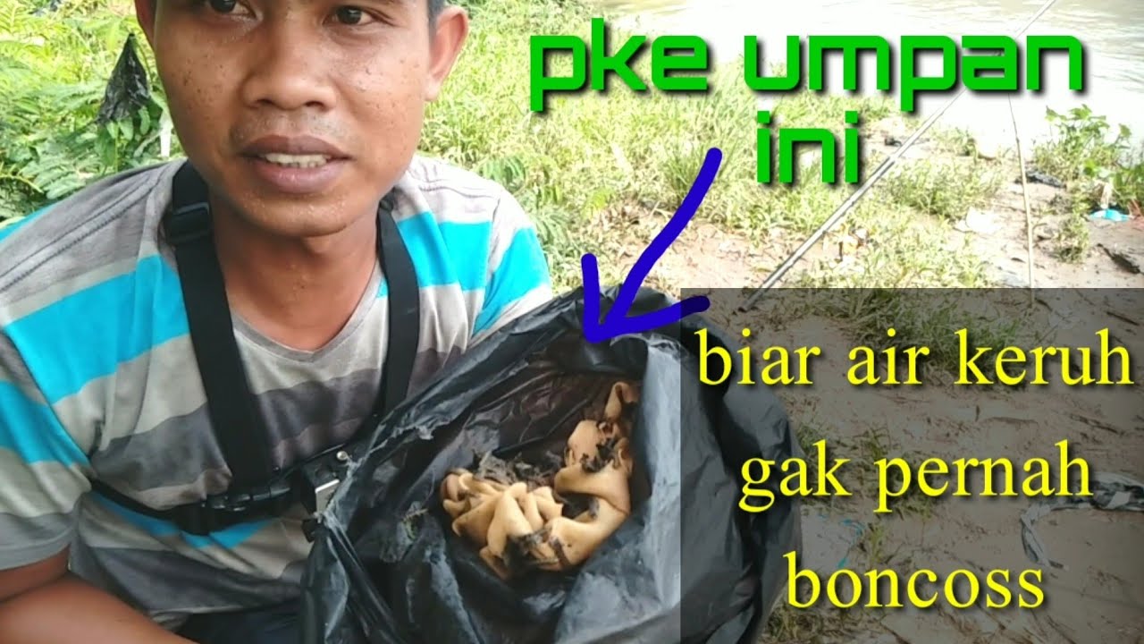 Mancing di sungai biar air keruh  pake UMPAN ini pulang selalu bawa hasil.!!
