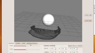 ClothSimulation.avi