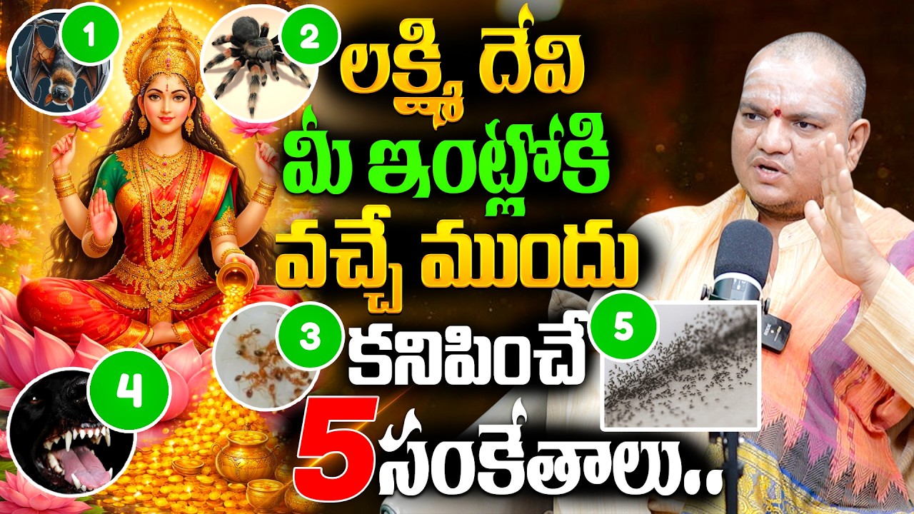 లక్ష్మి దేవి మీ ఇంట్లోకి వచ్చే ముందు కనిపించే 5 సంకేతాలు..BRK Spiritual