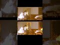 Vfx Compositing